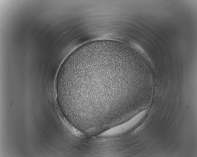 X0000068280892200604281614