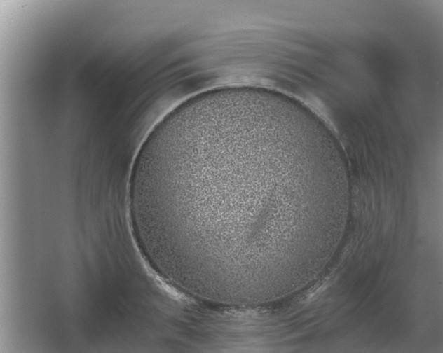 X0000068280895200604281614