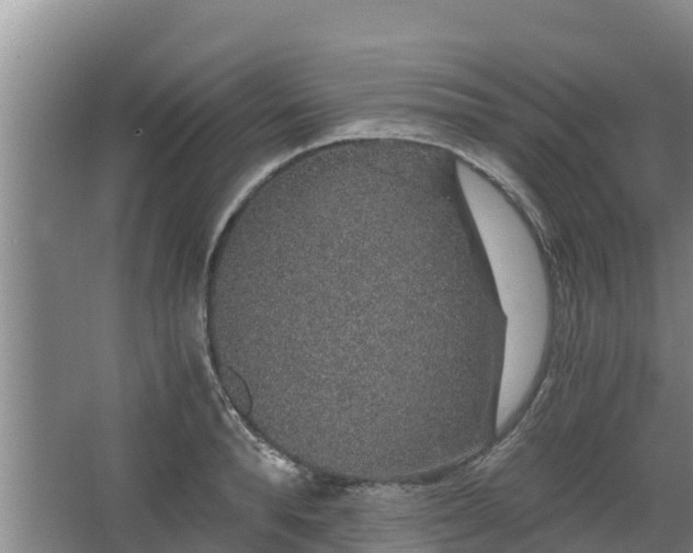 X0000068280896200604281614