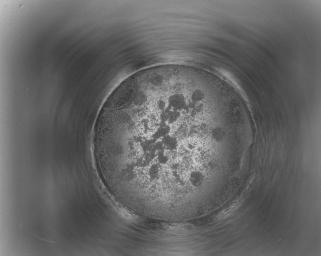 X0000068280899200604281614