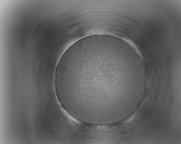 X0000068280903200604281614