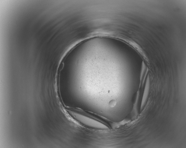 X0000068280904200604281614