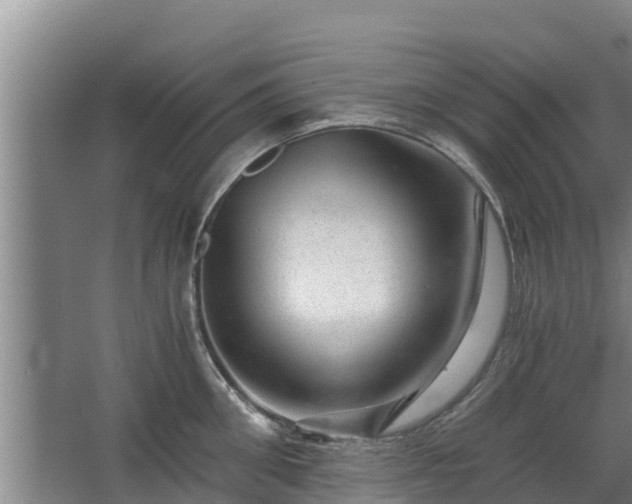 X0000068280906200604281614