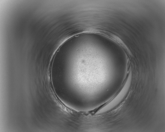 X0000068280908200604281614