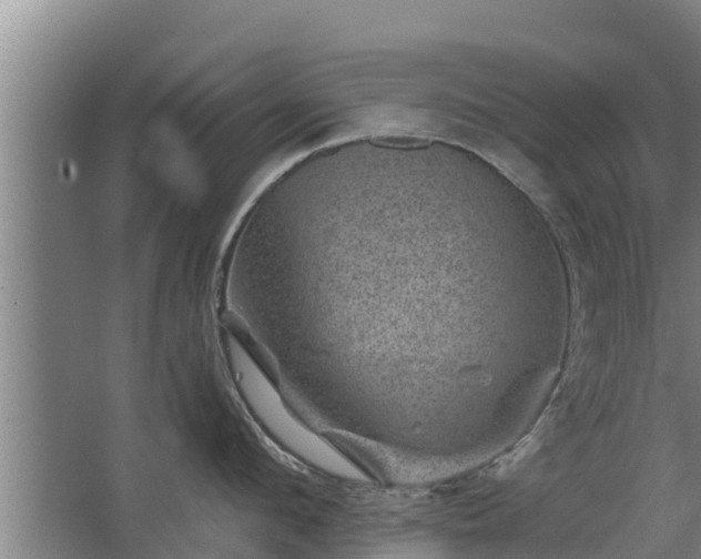 X0000068280912200604281614