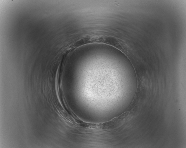 X0000068280914200604281613