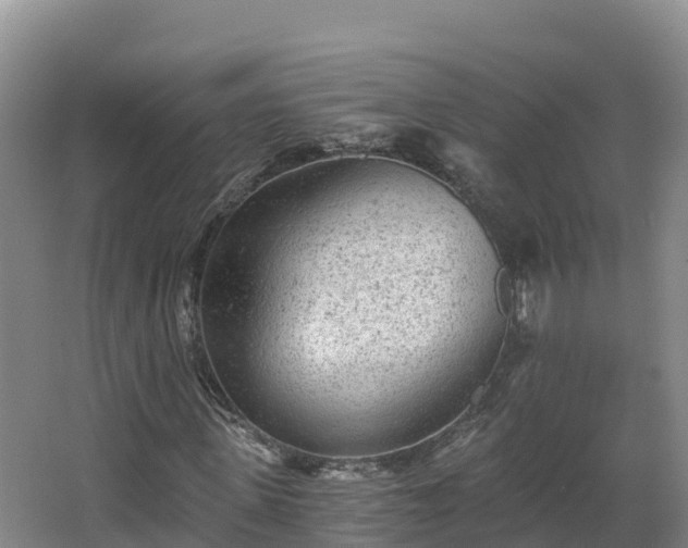 X0000068280915200604281613