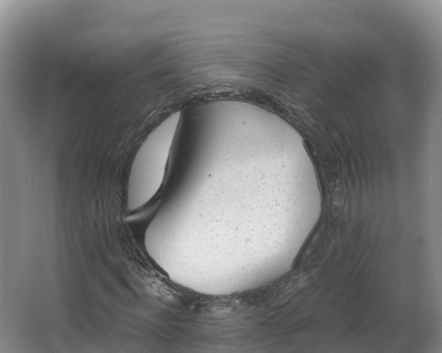 X0000068280916200604281613