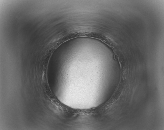 X0000068280917200604281613