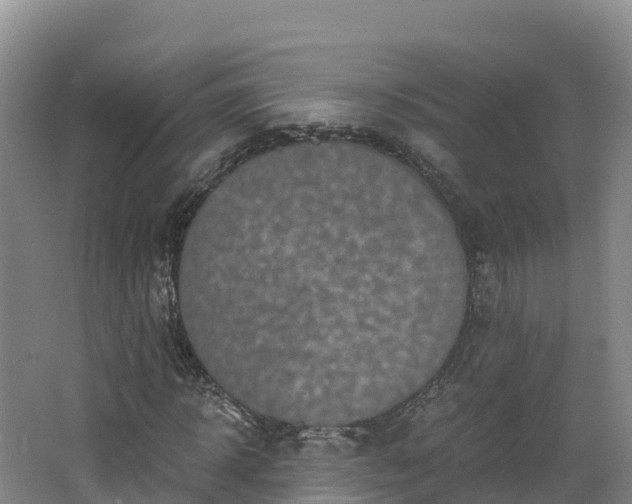 X0000068280918200604281613