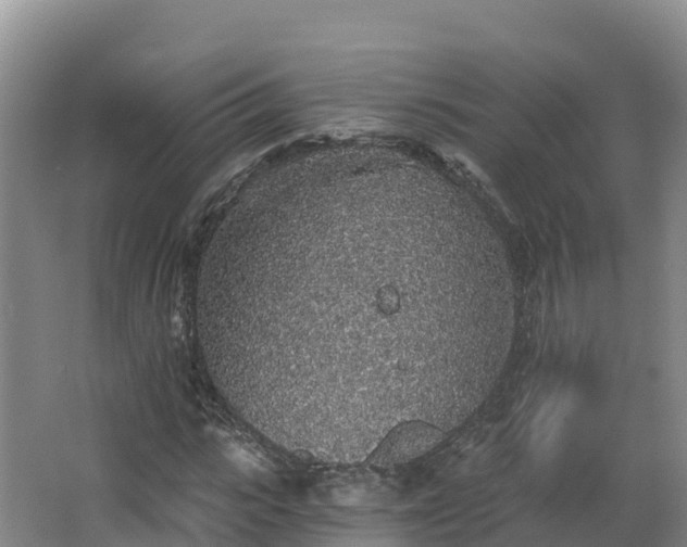 X0000068280919200604281613