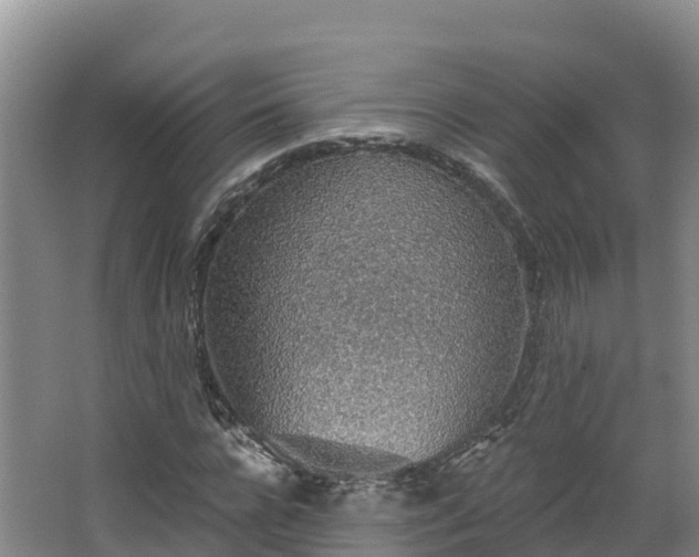 X0000068280920200604281613