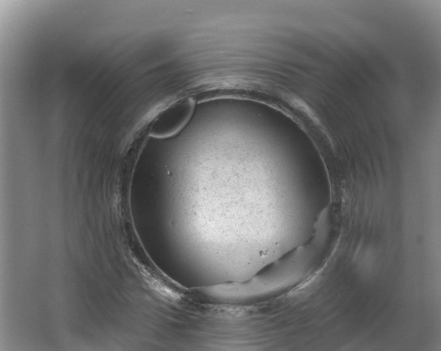 X0000068280922200604281613