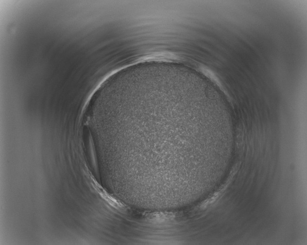 X0000068280923200604281613