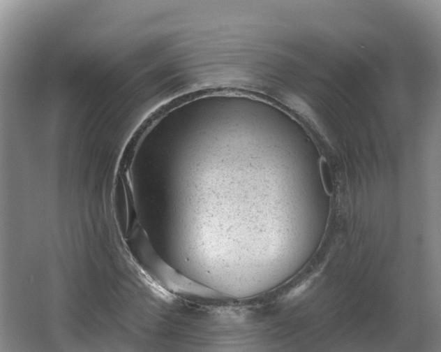 X0000068280924200604281614