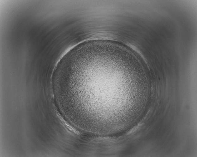 X0000068280925200604281614