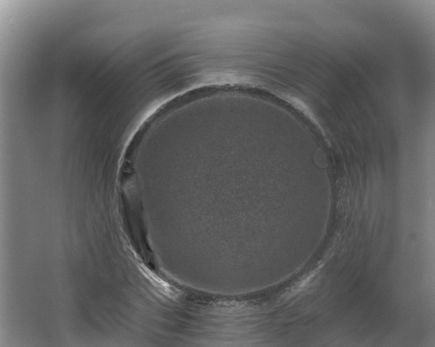 X0000068280927200604281614