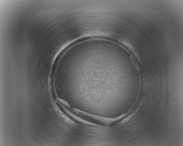 X0000068280928200604281614