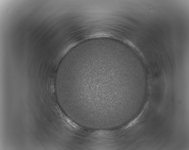 X0000068280929200604281614