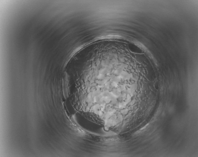 X0000068280945200604281614