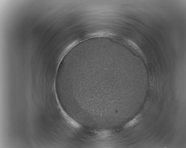 X0000068280946200604281614