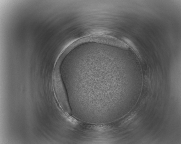 X0000068280948200604281614