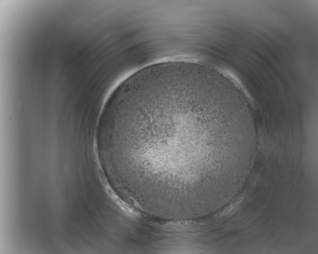 X0000068280952200604281614