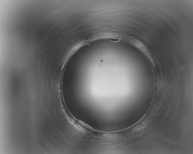 X0000068280954200604281614