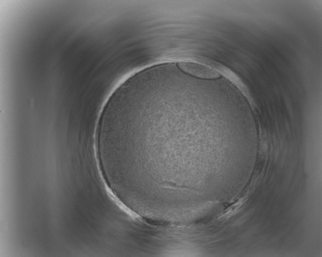 X0000068280958200604281614