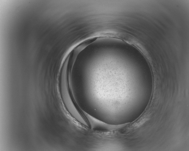 X0000068280960200604281614