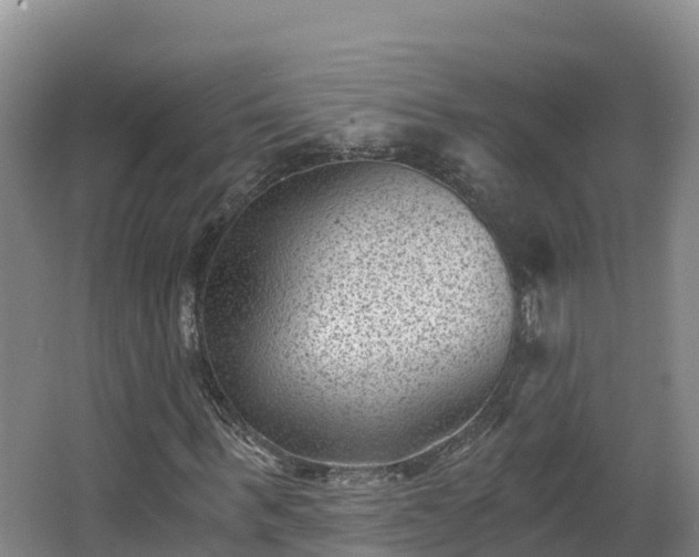 X0000068280963200604281613