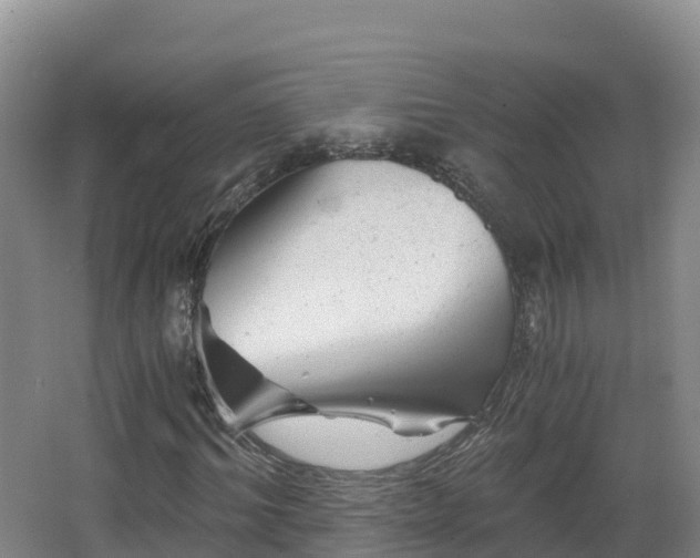 X0000068280964200604281613