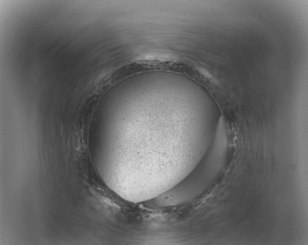 X0000068280965200604281613