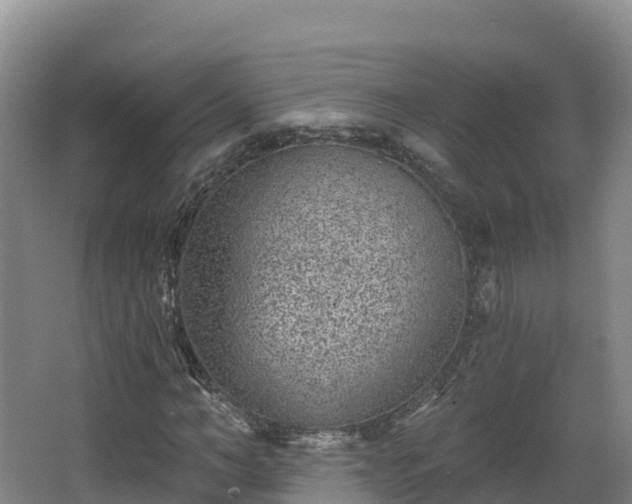 X0000068280966200604281613