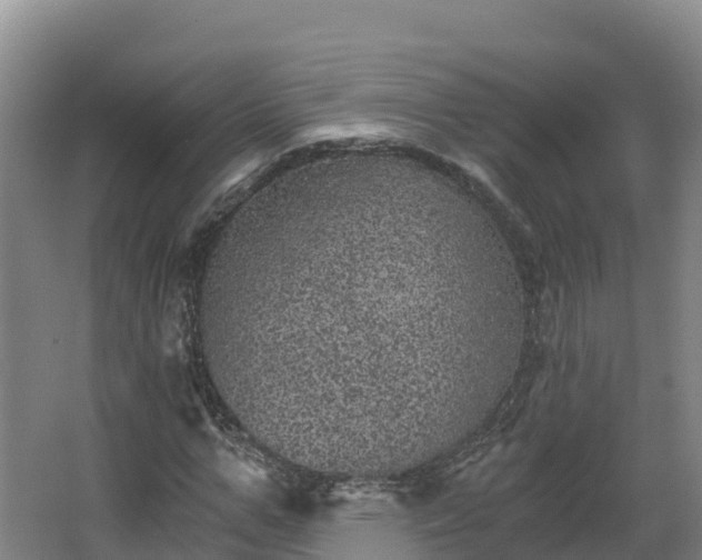 X0000068280967200604281613