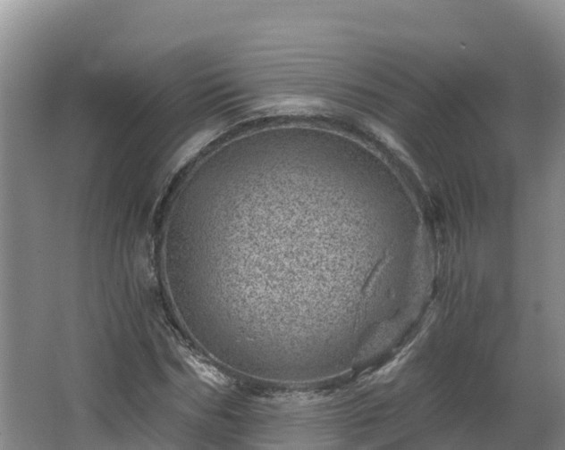 X0000068280970200604281613