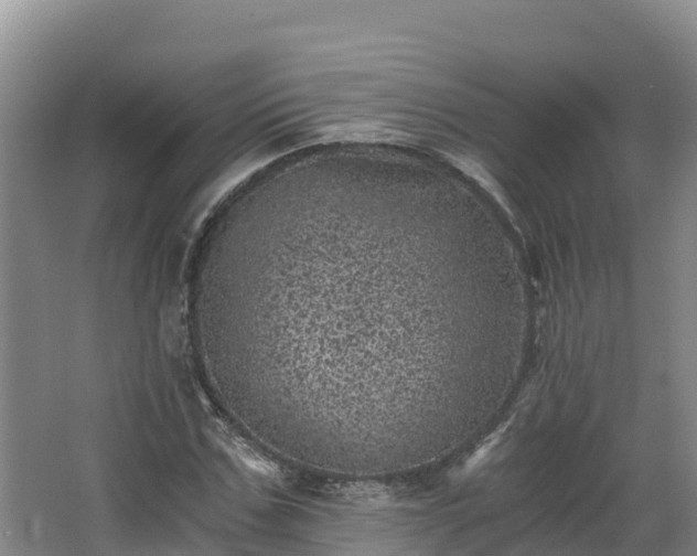 X0000068280971200604281613