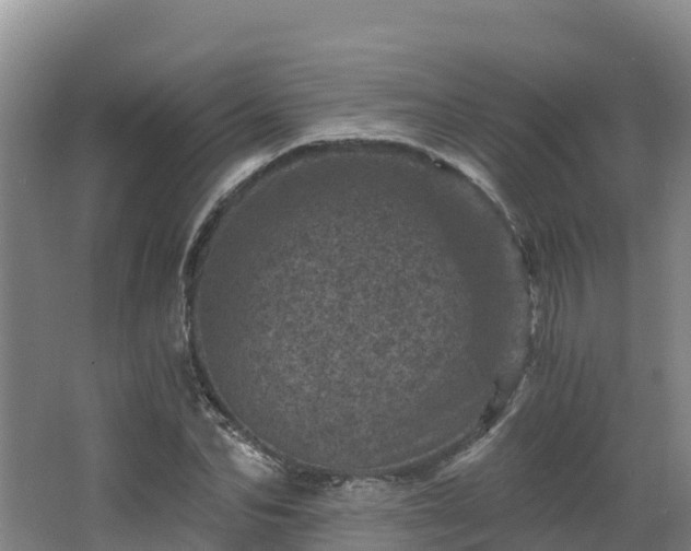 X0000068280974200604281613