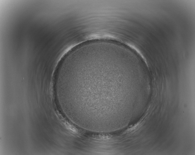 X0000068280975200604281613