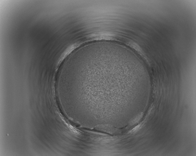 X0000068280978200604281613