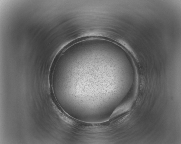 X0000068280980200604281613