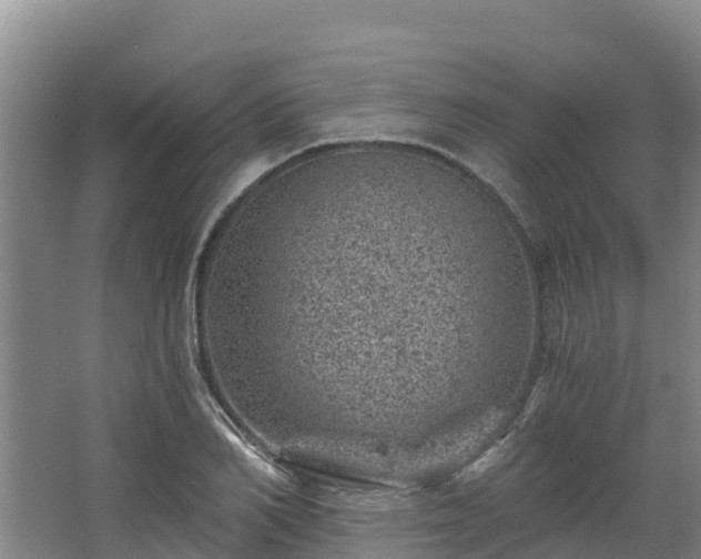 X0000068280982200604281613