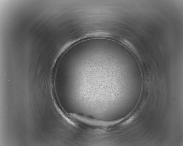 X0000068280989200604281613