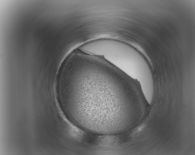 X0000068280991200604281613