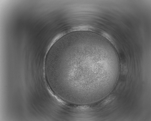 X0000068280994200604281613