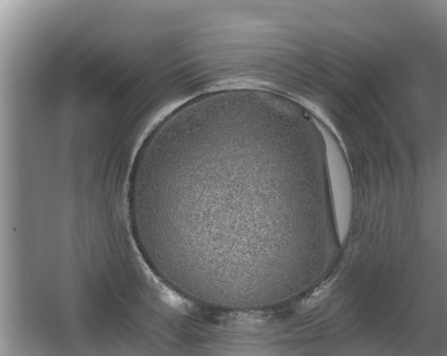 X0000068280995200604281613