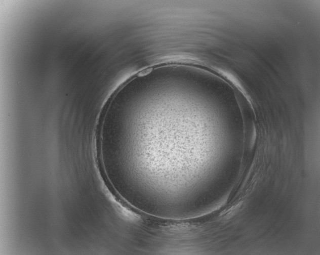 X0000068280999200604281613