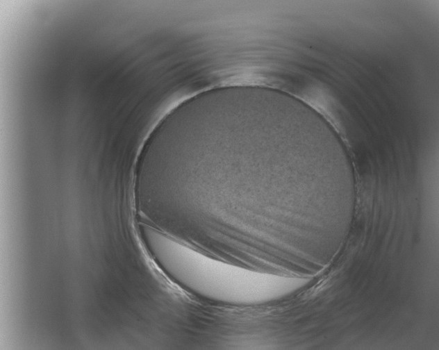 X0000068281000200604281613