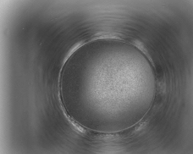 X0000068281002200604281613