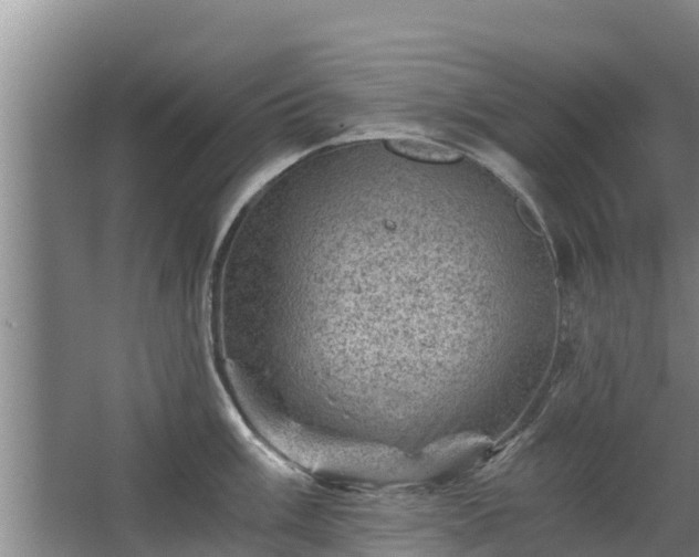 X0000068281003200604281613